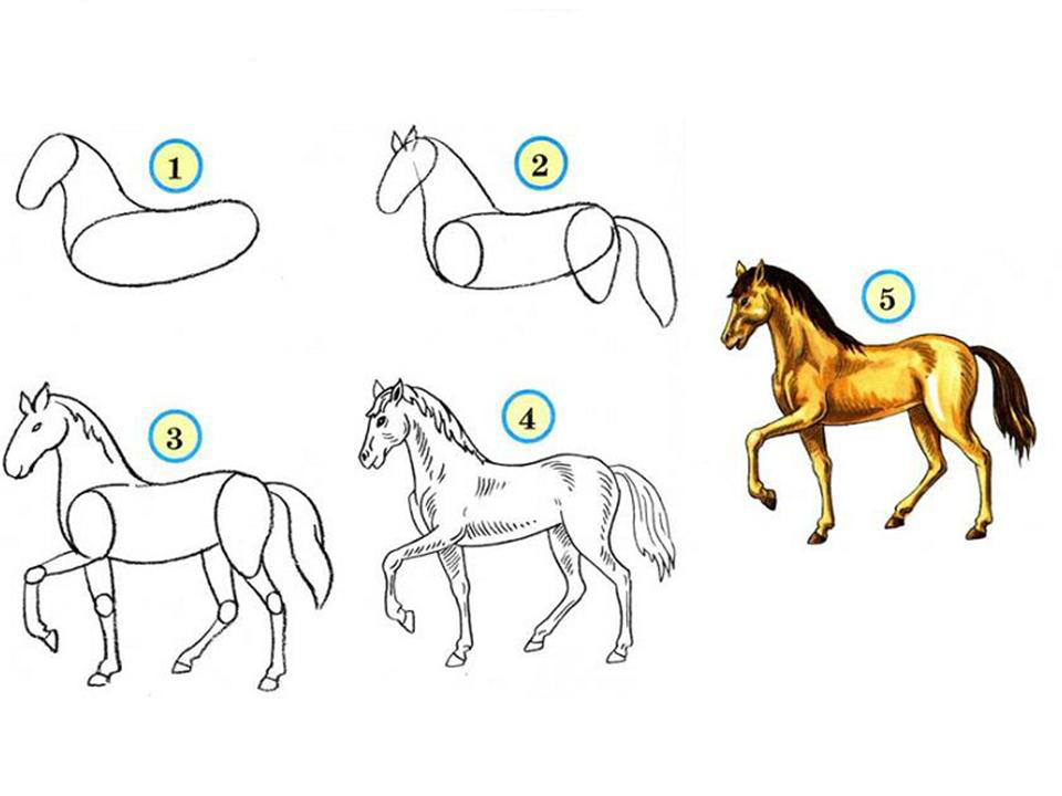 Мастер класс как нарисовать лошадь карандашом